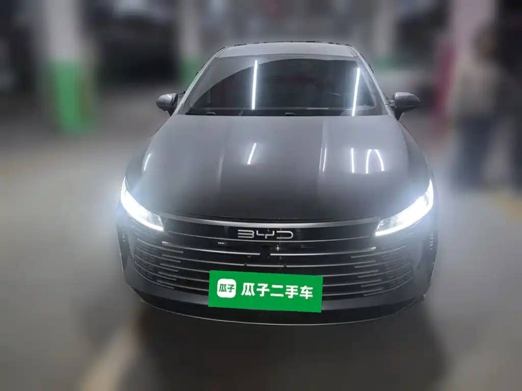 BYD Destroyer 05 — миниатюра 2