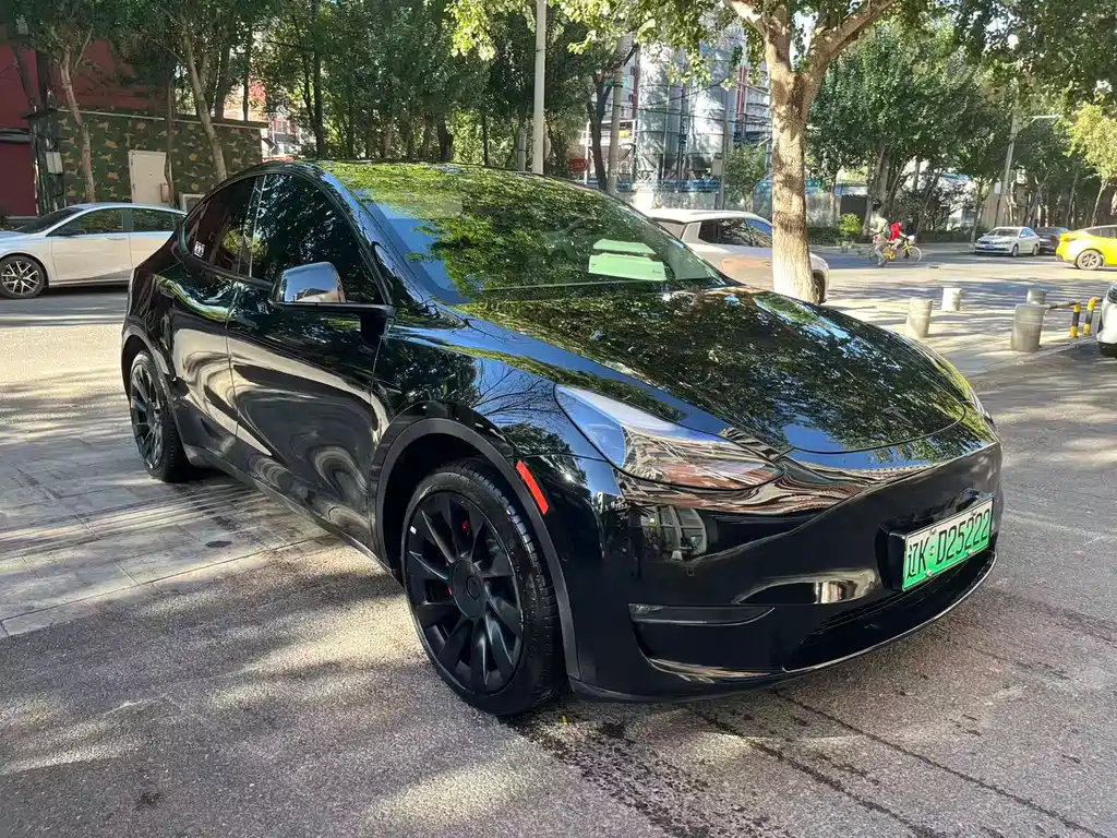 Tesla Model Y — миниатюра 3