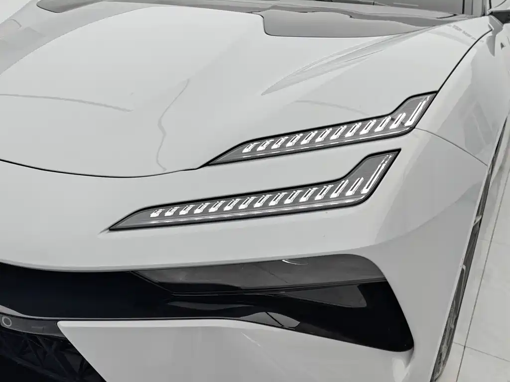 Lotus EMEYA — миниатюра 6
