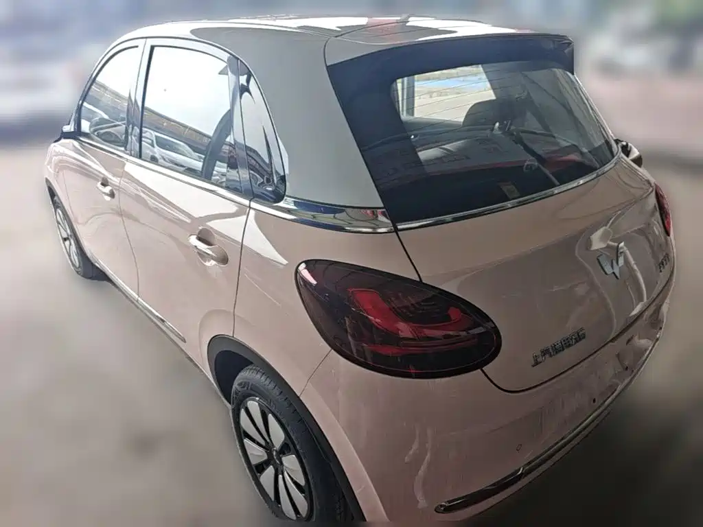 Wuling Binguo 2024 333km