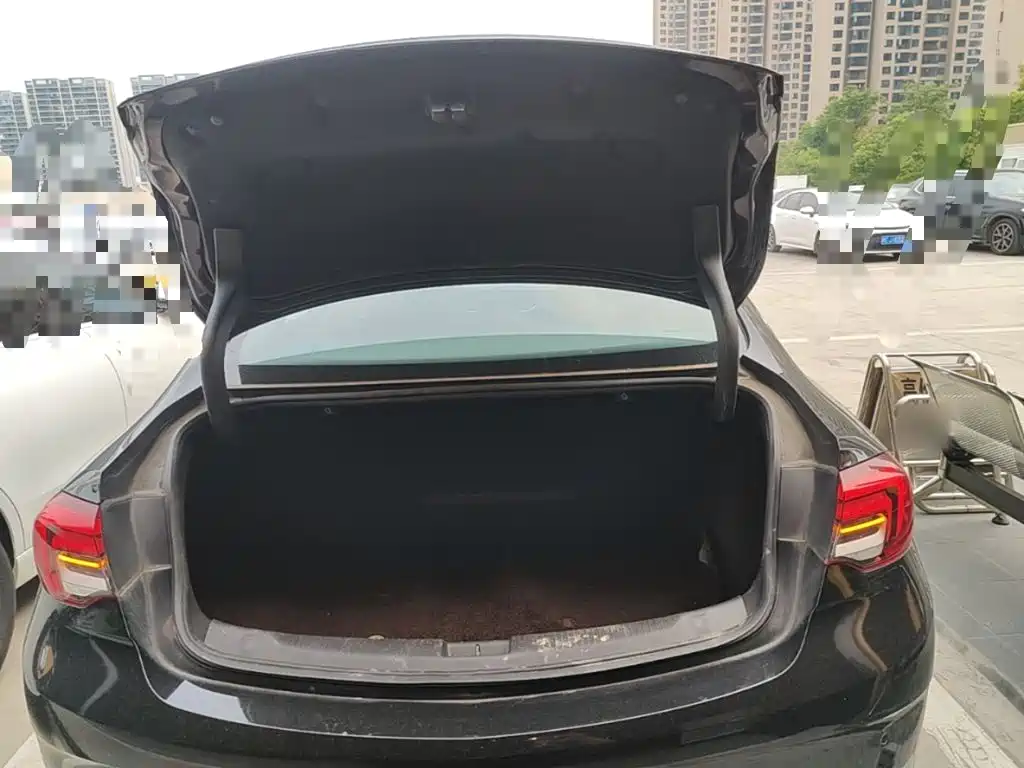 Buick Regal — миниатюра 19