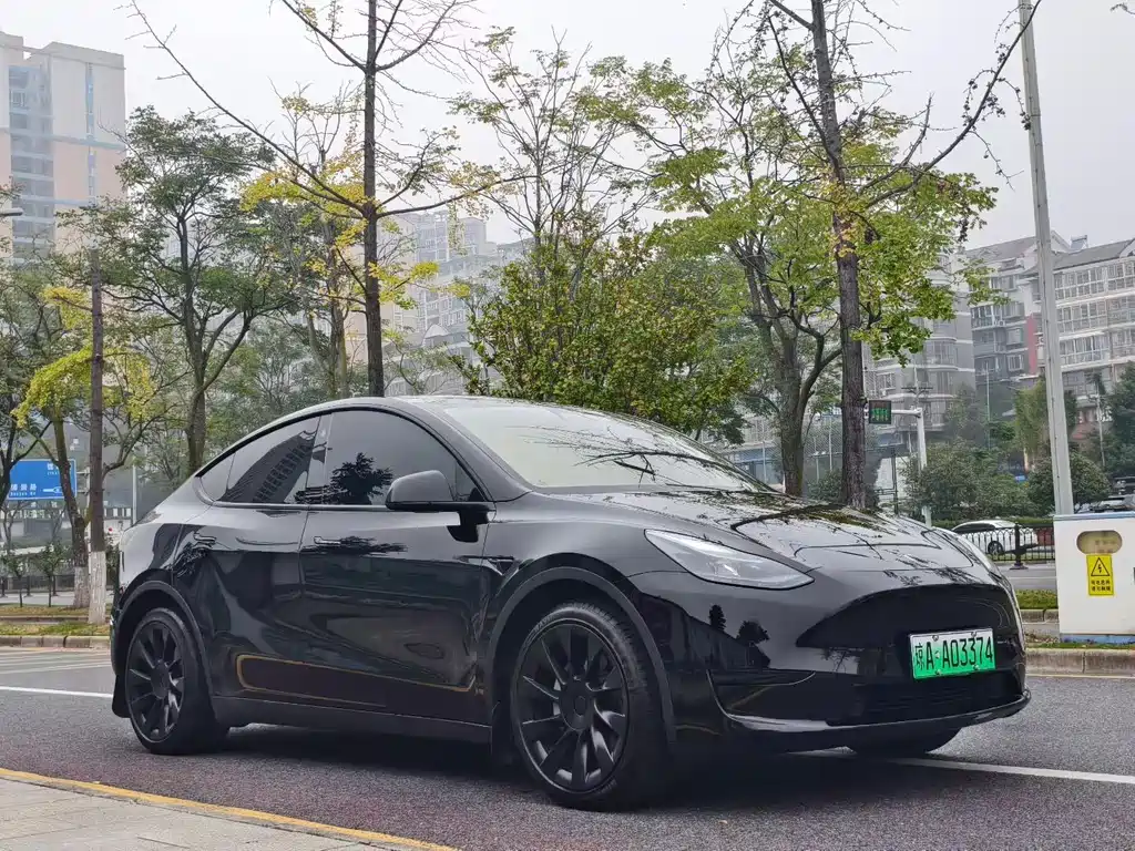 Tesla Model Y — миниатюра 3