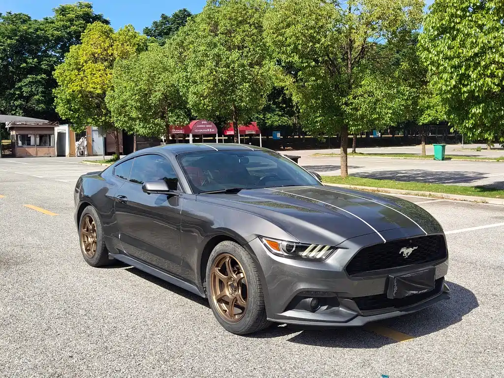 Ford Mustang — миниатюра 3