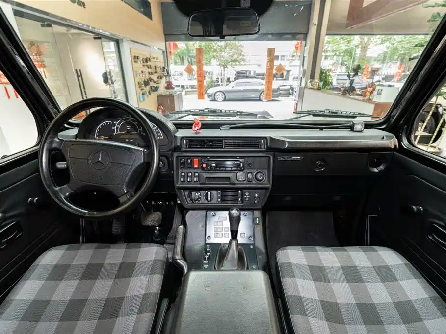 Mercedes-Benz G-Class G 2010 G 300