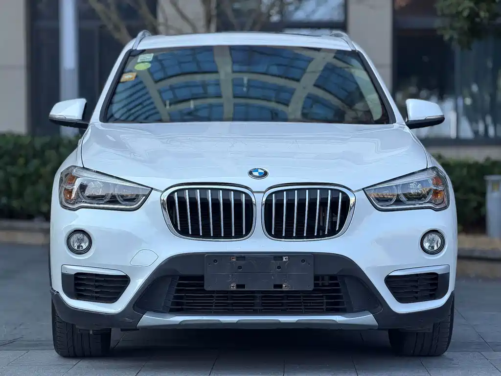 BMW X1 — миниатюра 2