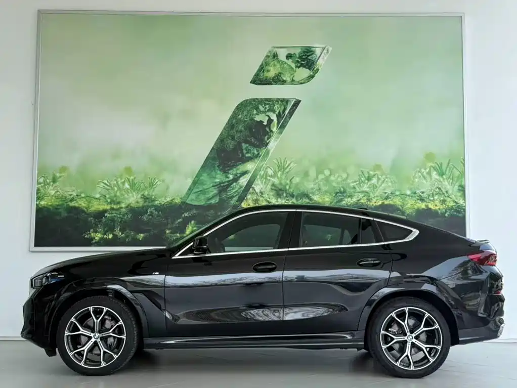 BMW X6 — миниатюра 5