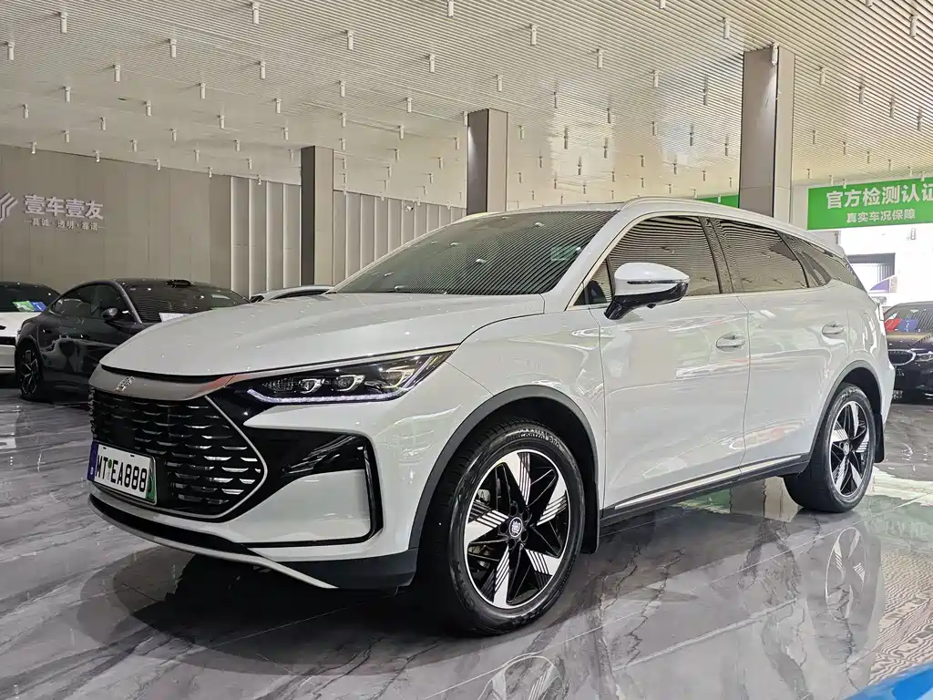 BYD Tang New Energy — миниатюра 2