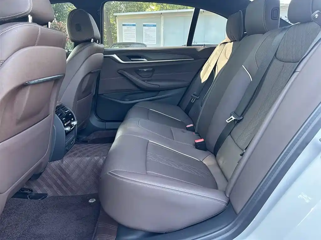 BMW 5 Series 5 2021 530Li Lead M Sport
