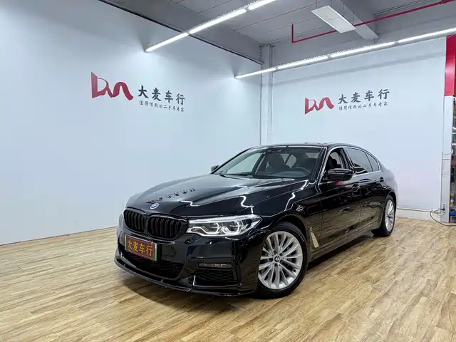 BMW 5 SERIES NEW ENERGY 2019