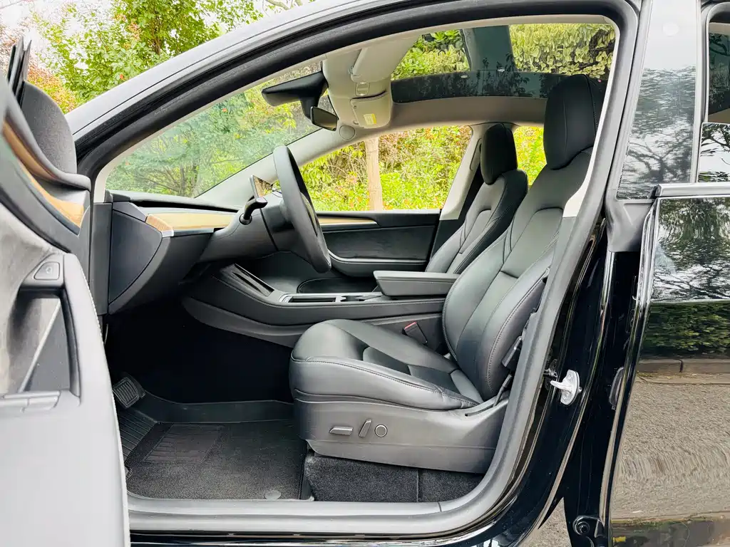 Tesla Model Y — миниатюра 5