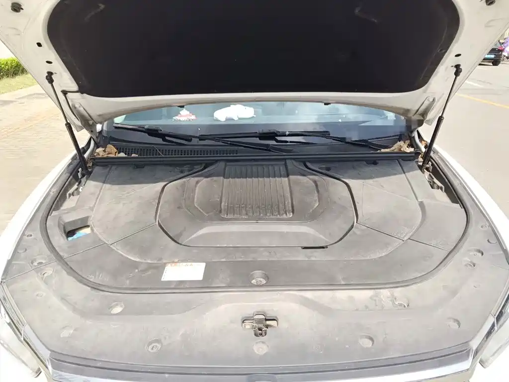 BYD Pro New Energy — миниатюра 17