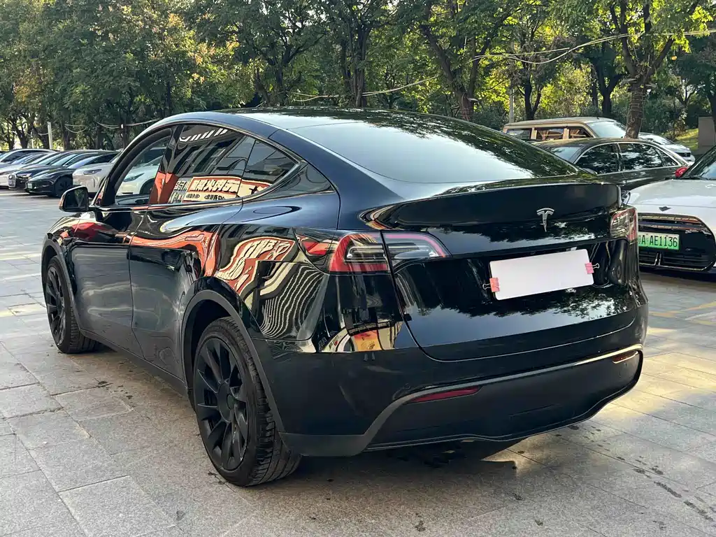 Tesla Model Y — миниатюра 8