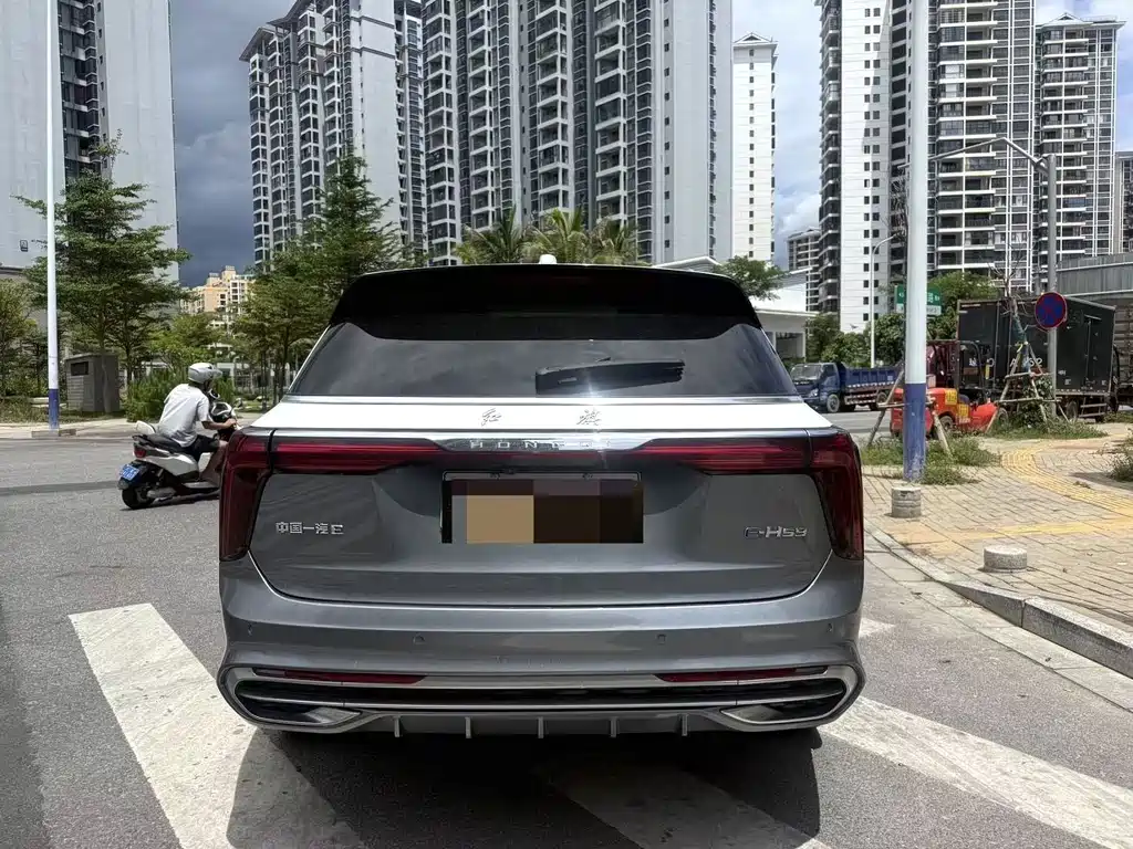 Hongqi Hongqi E-HS9 — миниатюра 8