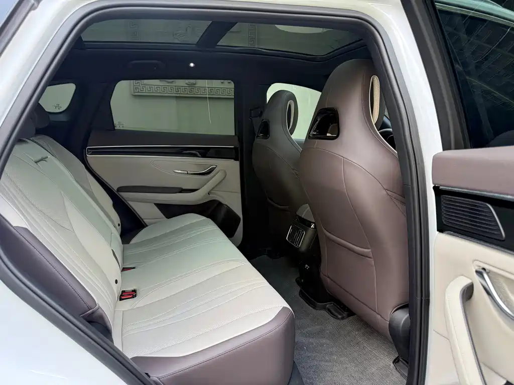 BYD PLUS New Energy — миниатюра 7