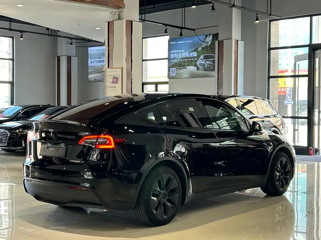Tesla Model Y — миниатюра 24