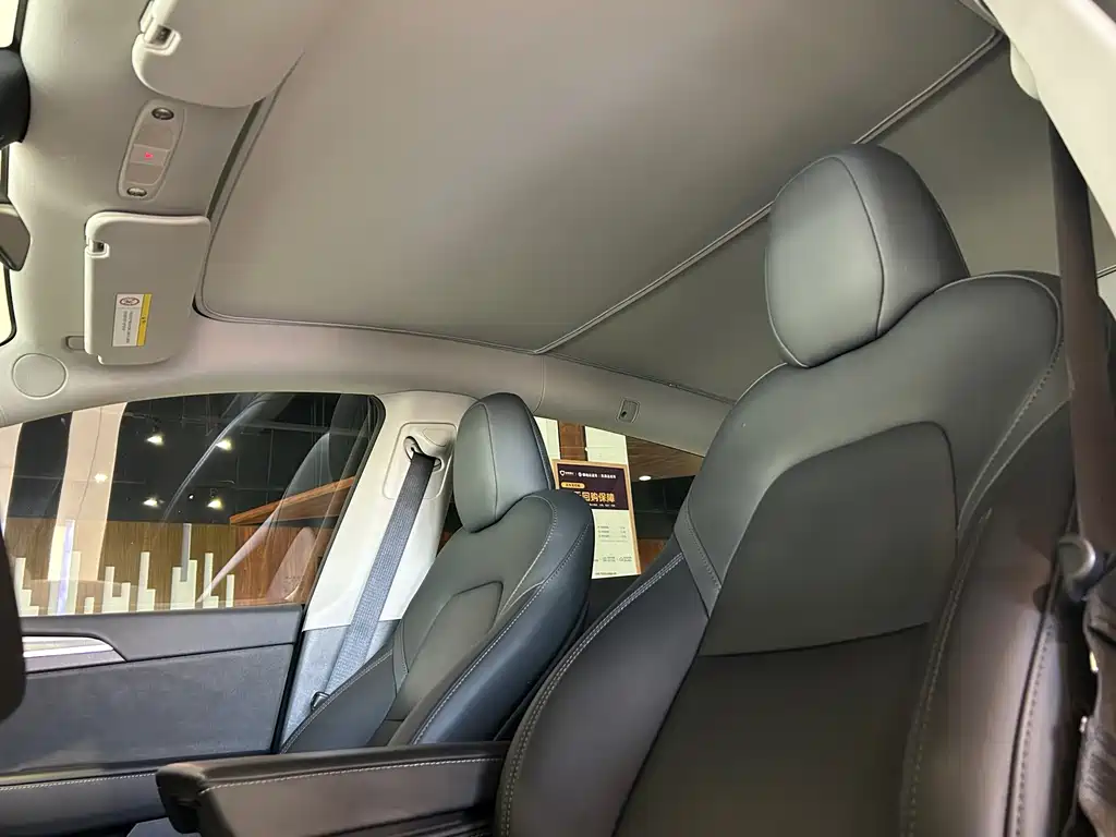 Tesla Model Y — миниатюра 9