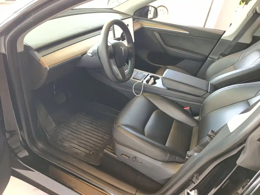 Tesla Model Y — миниатюра 15