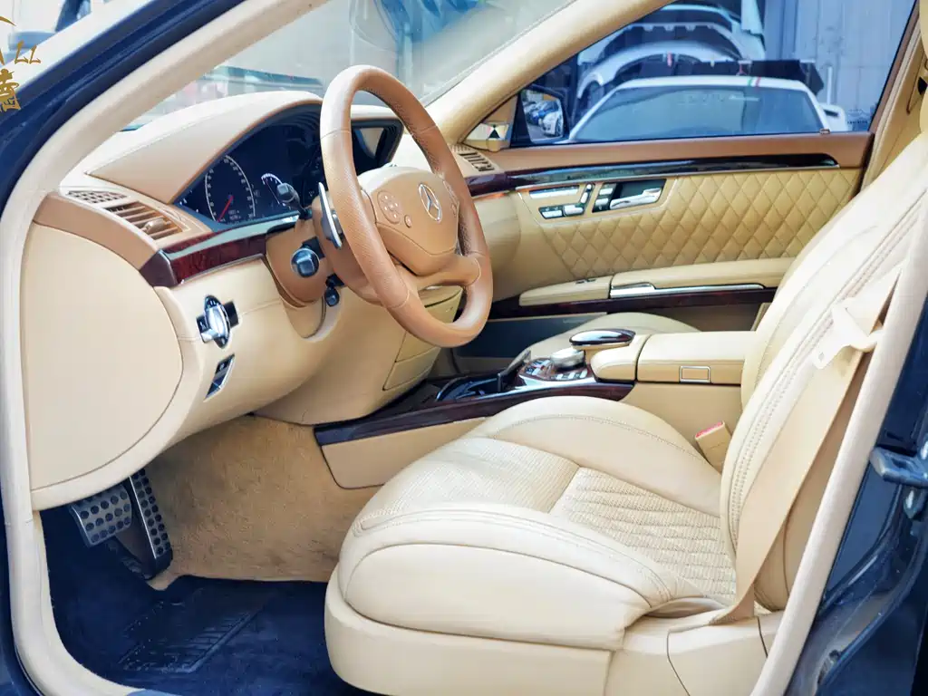 Mercedes-Benz S-Class A MG S AMG 2010 AMG S 65