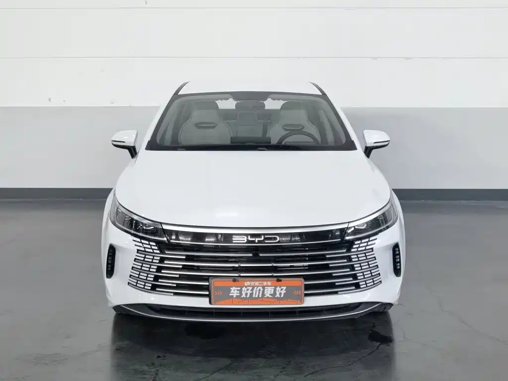 BYD Destroyer 05 — миниатюра 3
