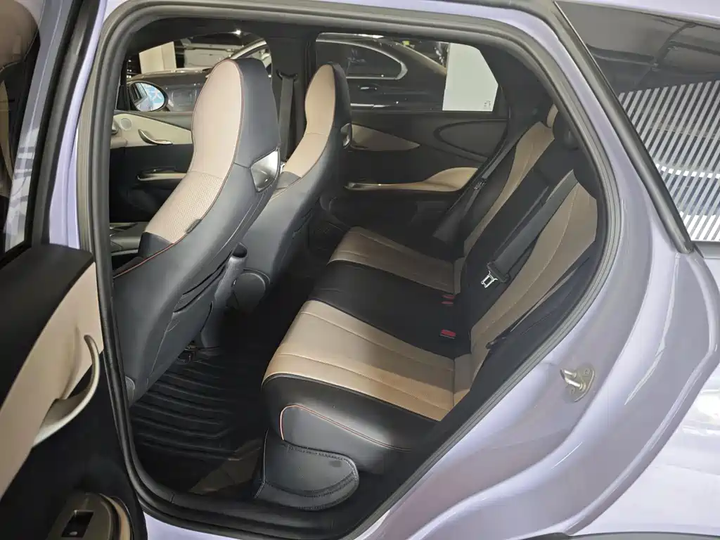 BYD Dolphin 2023 420km Fashion