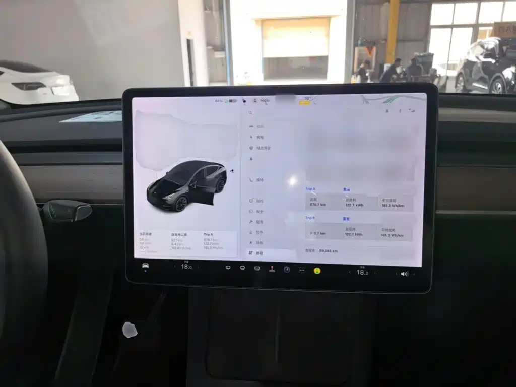 Tesla Model Y — миниатюра 10
