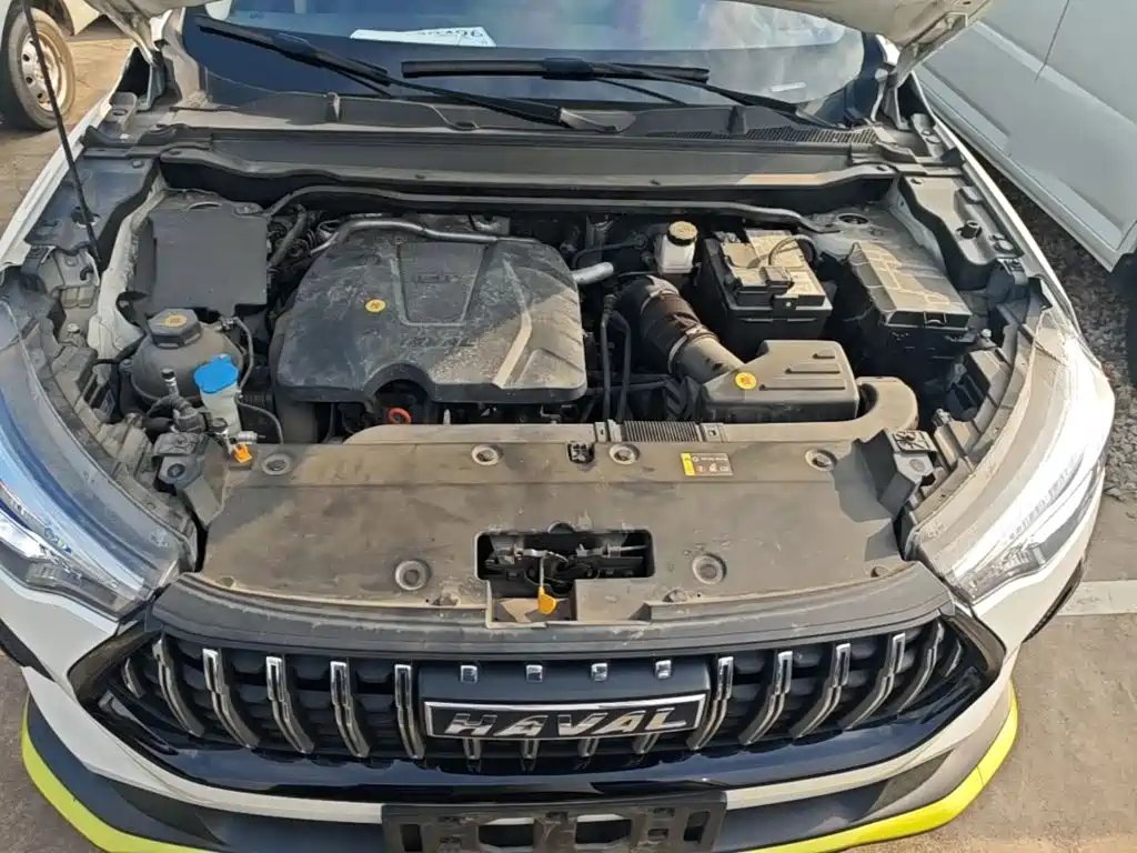 Haval Chitu — миниатюра 20