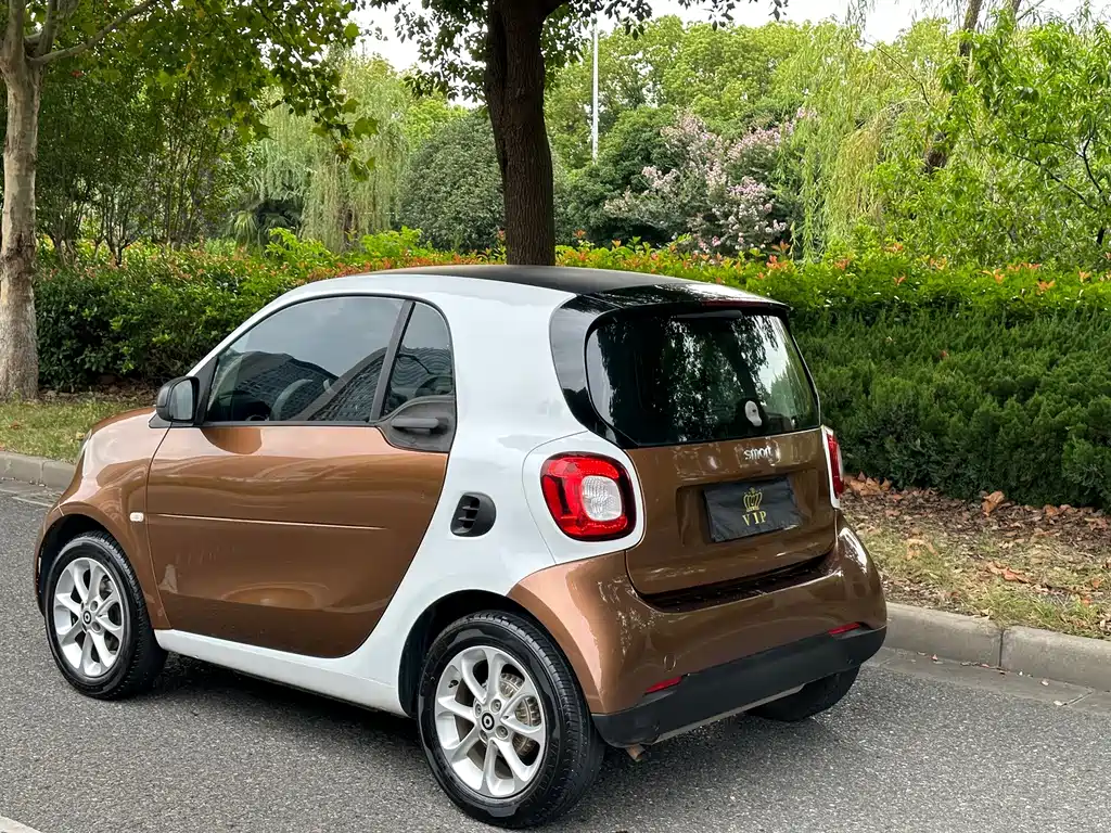 smart Smart Fortwo — миниатюра 14
