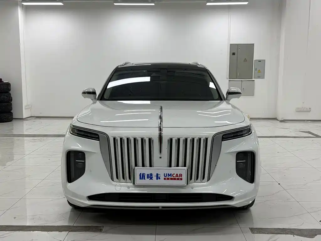 Hongqi Hongqi E-HS9 — миниатюра 2