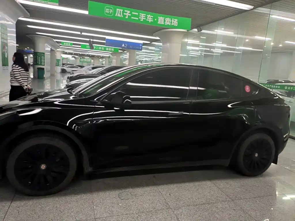Tesla Model Y — миниатюра 4