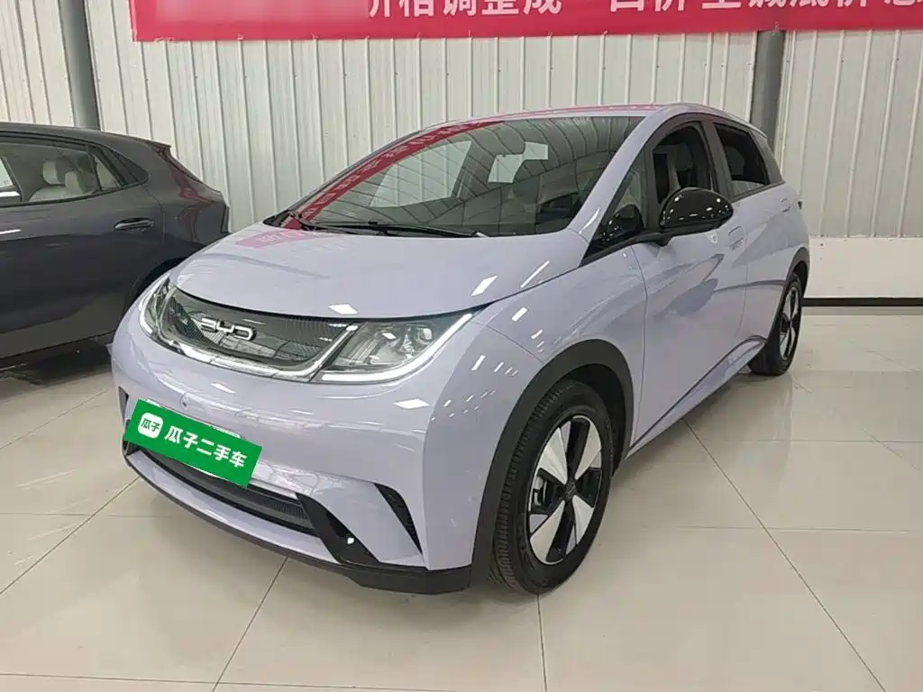 BYD Dolphin — миниатюра 2