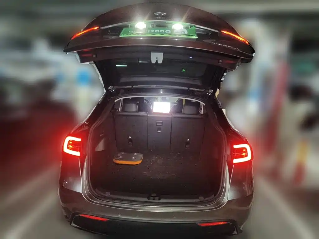 Tesla Model Y — миниатюра 15