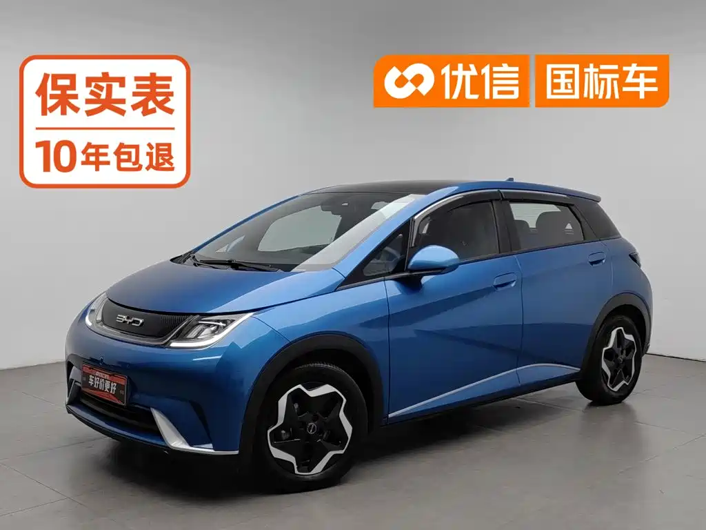BYD Dolphin