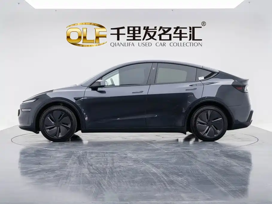 Tesla Model Y — миниатюра 7
