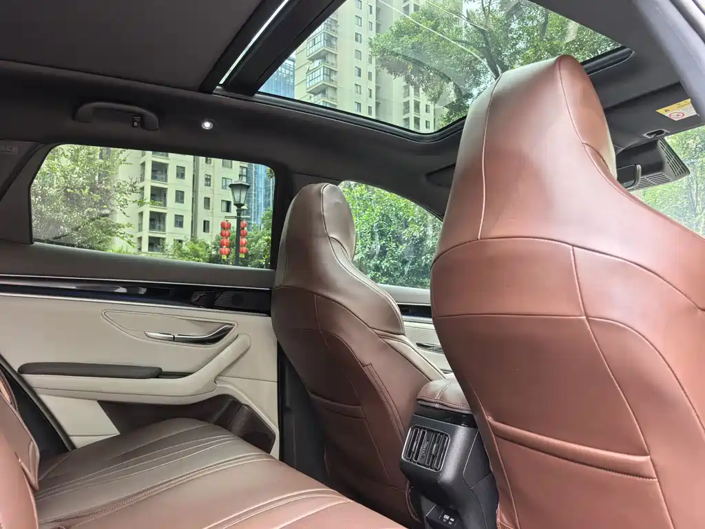 BYD PLUS New Energy — миниатюра 13