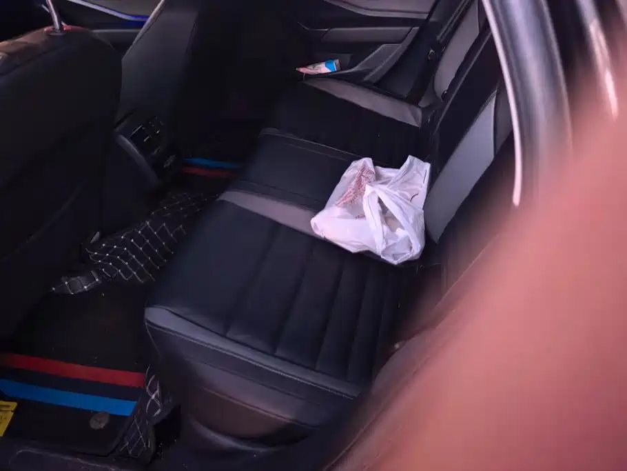 Volkswagen Sagitar — миниатюра 11