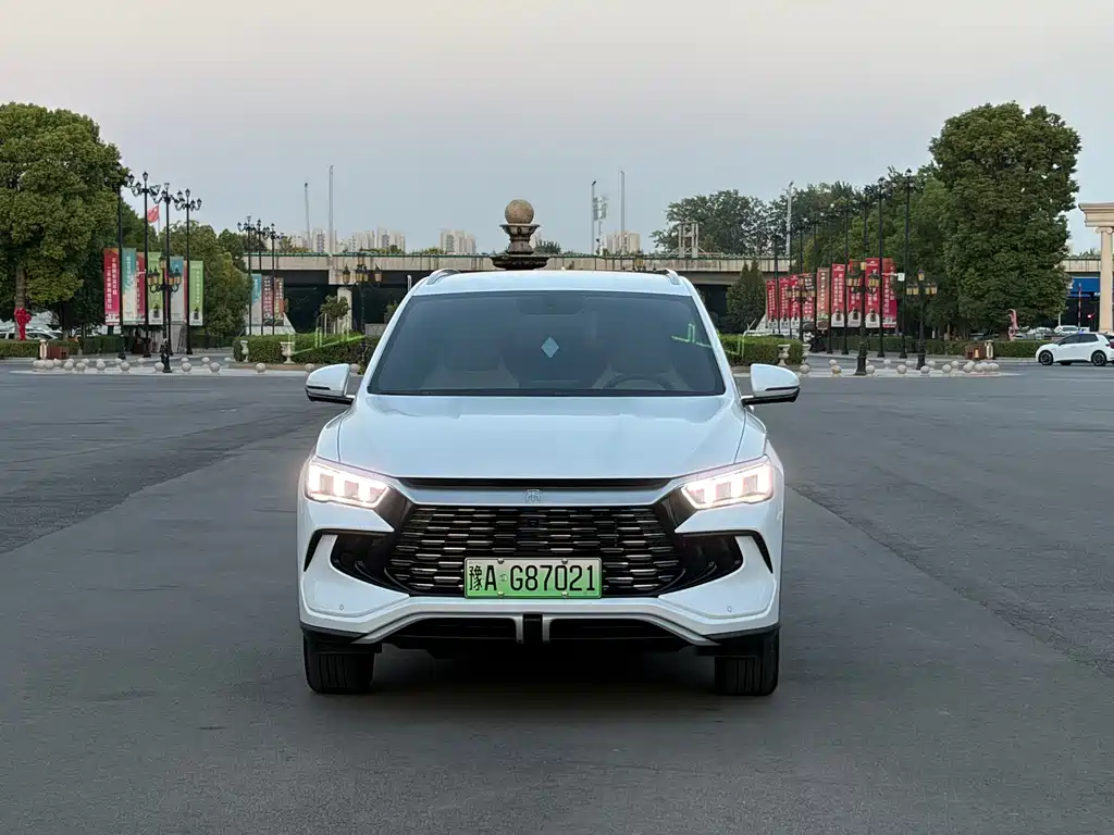 BYD Pro New Energy — миниатюра 2