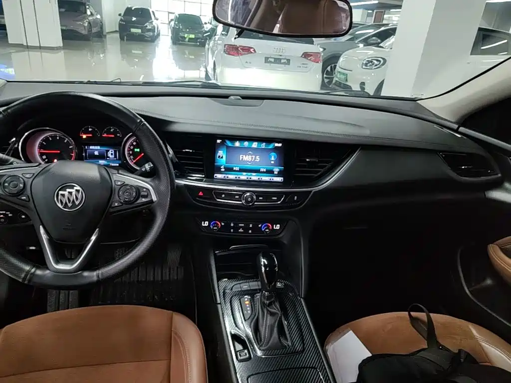 Buick Regal — миниатюра 14