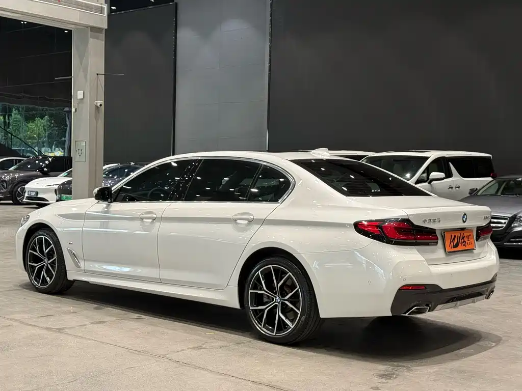 BMW 5 SERIES