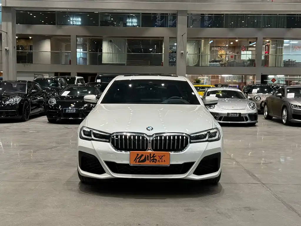 BMW 5 SERIES