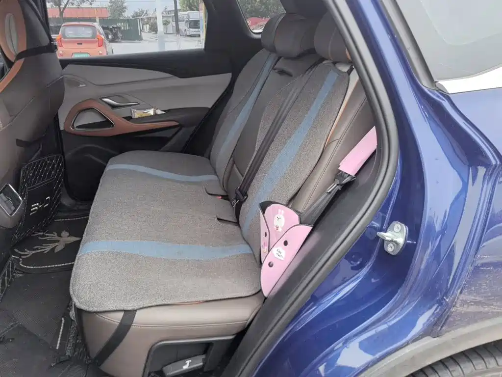 BYD Pro New Energy — миниатюра 18