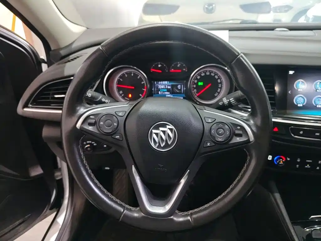Buick Regal — миниатюра 11