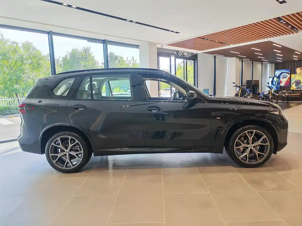BMW X5 — миниатюра 8