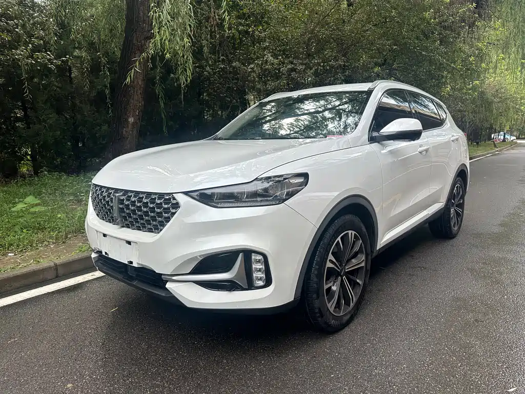 Wey Wey VV6