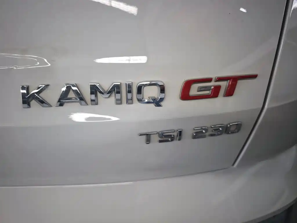 Skoda Kamiq — миниатюра 20