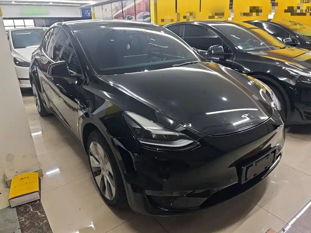 Tesla Model Y — миниатюра 4