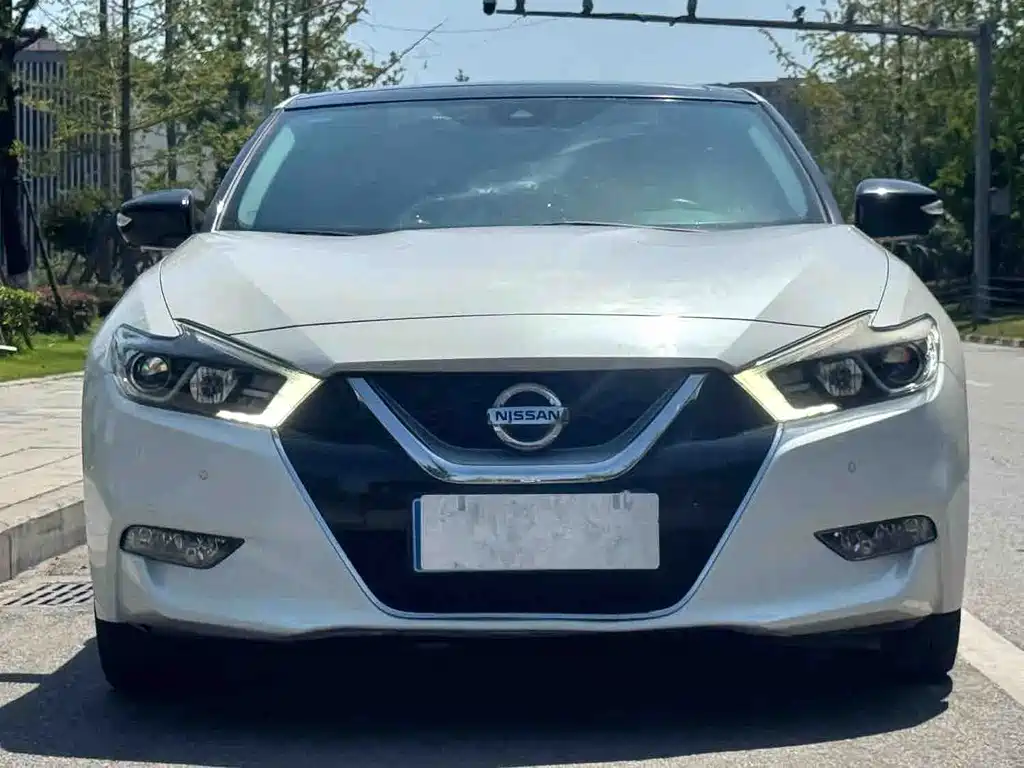 Nissan Cima — миниатюра 2