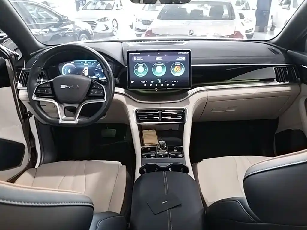 BYD PLUS New Energy — миниатюра 10