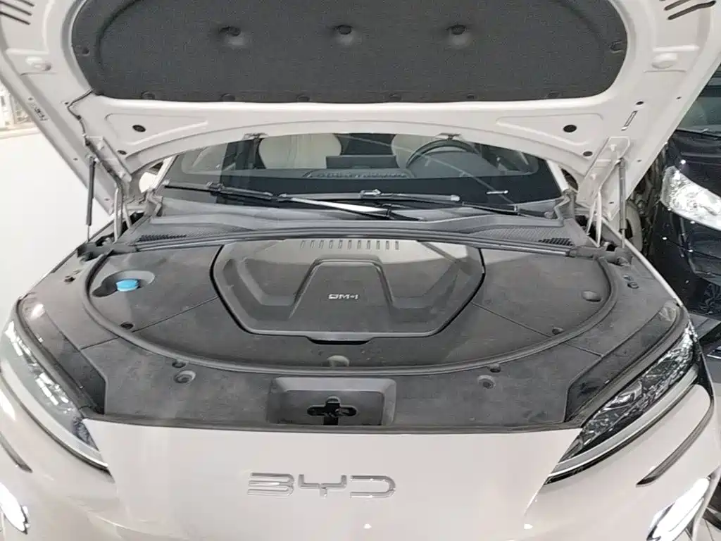 BYD PLUS New Energy — миниатюра 20