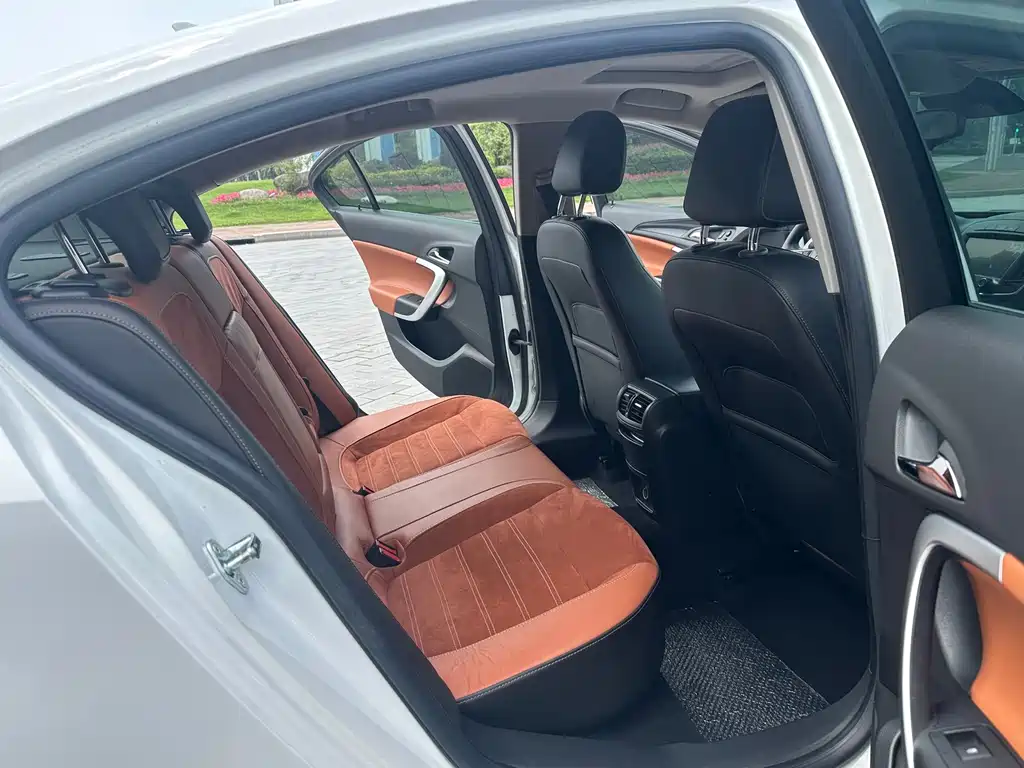 Buick Regal — миниатюра 13