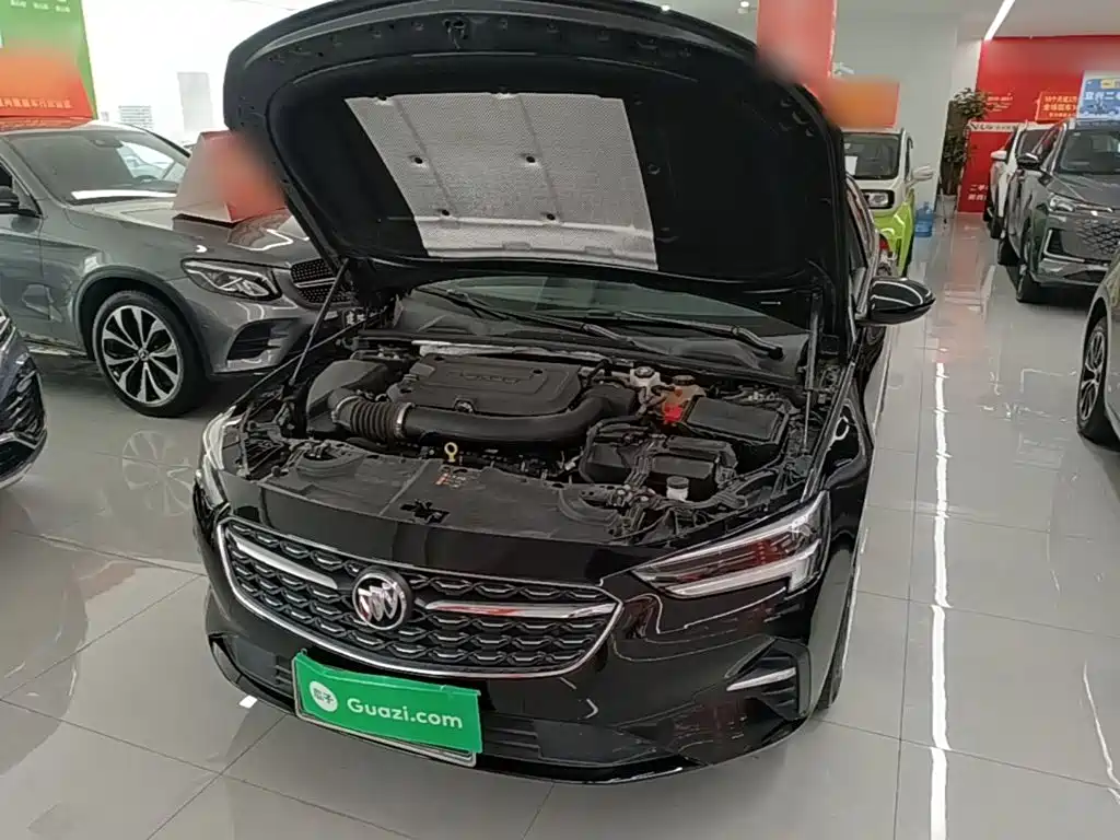 Buick Regal — миниатюра 20